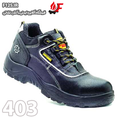 کفش ایمنی و کفش کار
