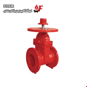NRS Gate Valve ani AV-NG-FF200