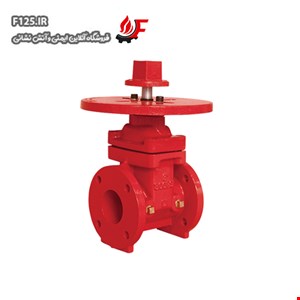 NRS Gate Valve ani AV-NG-FF300