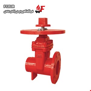  AV-NG-FG200  NRS Gate Valve Ani