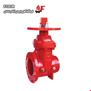 NRS Gate Valve ani AV-NG-FG300