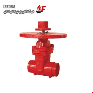 NRS Gate Valve  ANI AV-NG-GG200