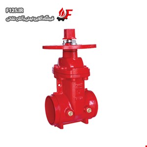 NRS Gate Valve ani AV-NG-GG300