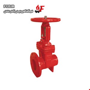 OS&Y Gate Valve ANI AV-OG-FG200