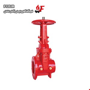 OS&Y Gate Valve ANI AV-OG-FG300