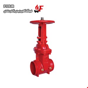 OS&Y Gate Valve ANI AV-OG-GG300