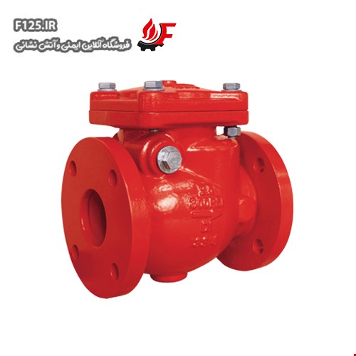 Swing Check Valve ANI AV-SC-GG350